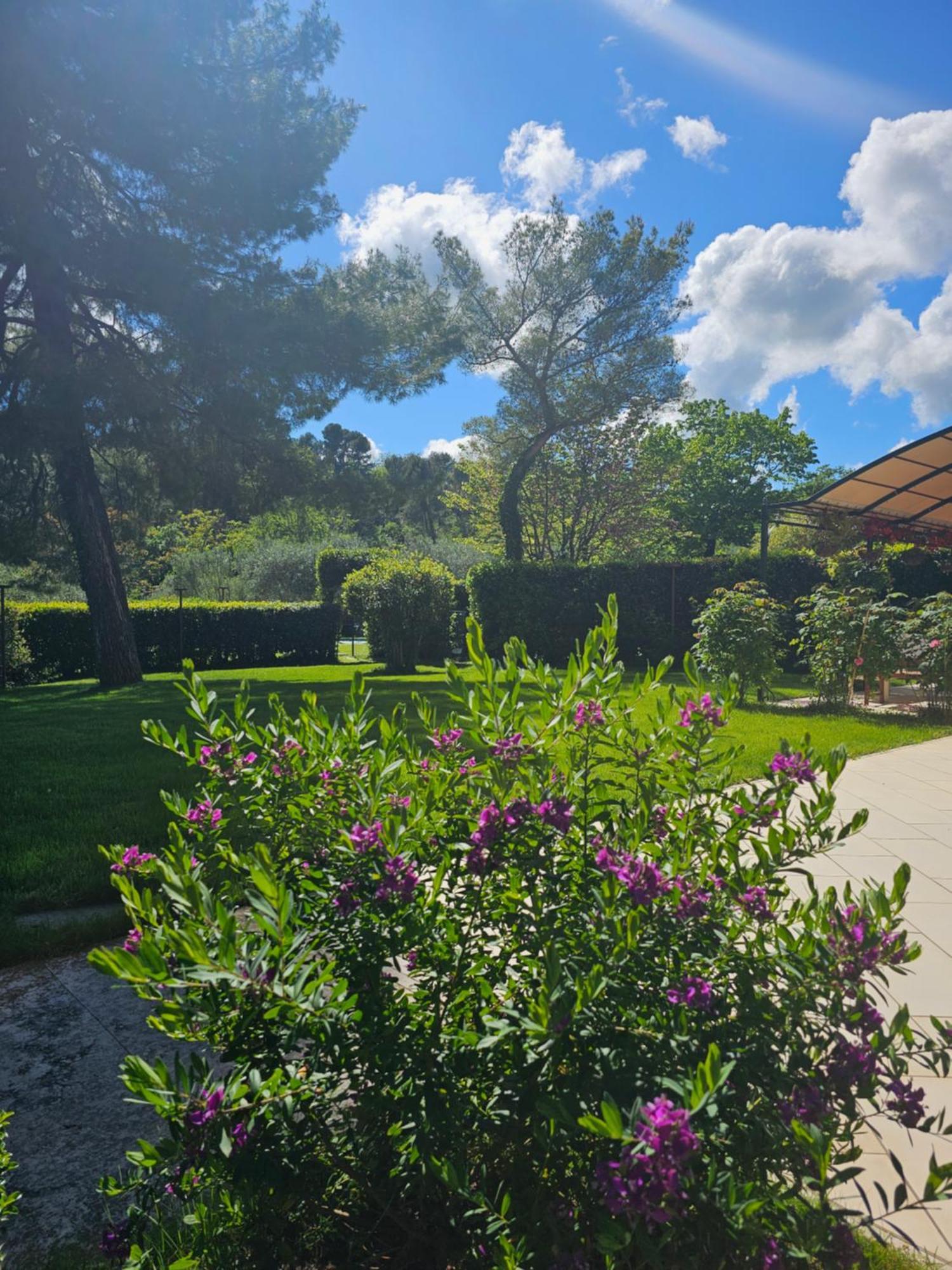 Villa Monacelli B&B Fano Luaran gambar